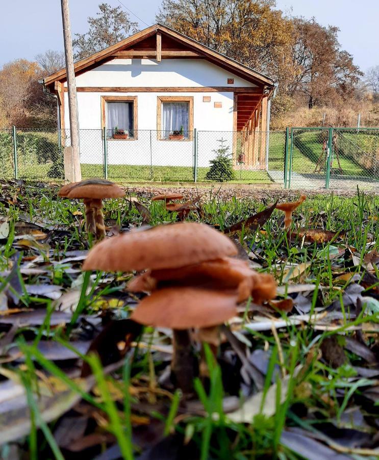 Liget Vendeghaz Villa Szokolya Buitenkant foto